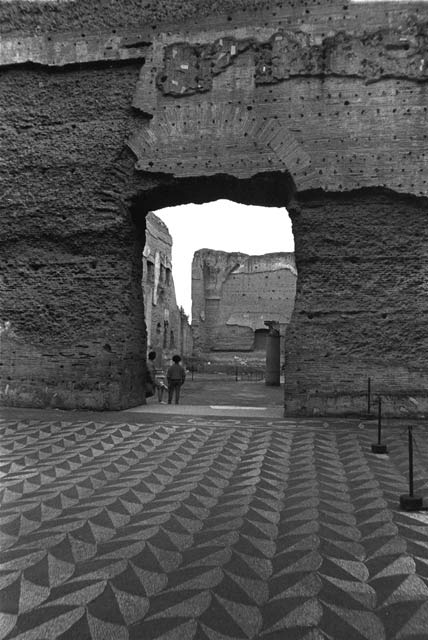 baths of caracalla mosaic floor